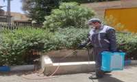 عملیات سم پاشی عمومی در سطح دانشکده